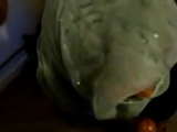 Arab slut