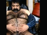 Big hairy bear and hairy body