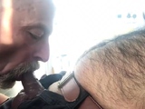 Dad sucking hairy cub