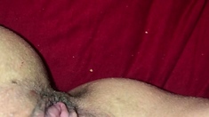 Pulled amateurs close up car sex
