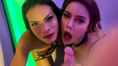 Watch hot group sex with a blond Tgirl