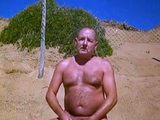 Osos en la Playa