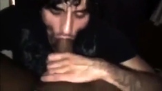 Fat Dick Sucking Session