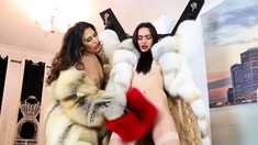 Two sexy brunettes play in fur coats