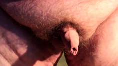 Chubby Guy's Little Joystick Swings Freely