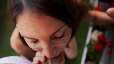 MySweetApple Two Cocks Fantasy