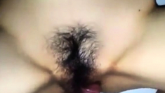 Pepeca Peludinha Da Japa