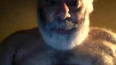 Hairy horny NY daddy bear jerks off on webcam